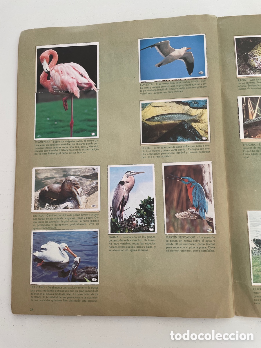 Coleccionismo &aacute;lbum: AL LADO DE LOS ANIMALES Completo - Foto 4