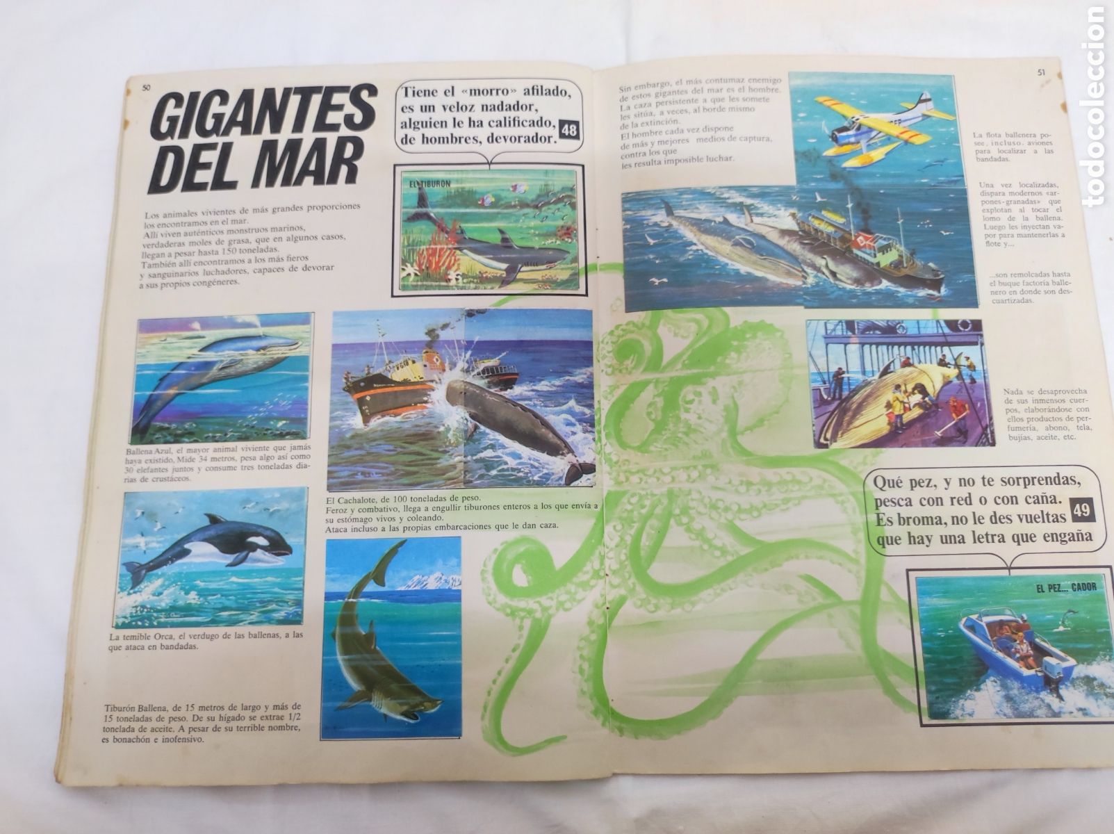 Coleccionismo &aacute;lbum: EL LIBRO DE LAS ADIVINANZAS - BIMBO - Foto 5