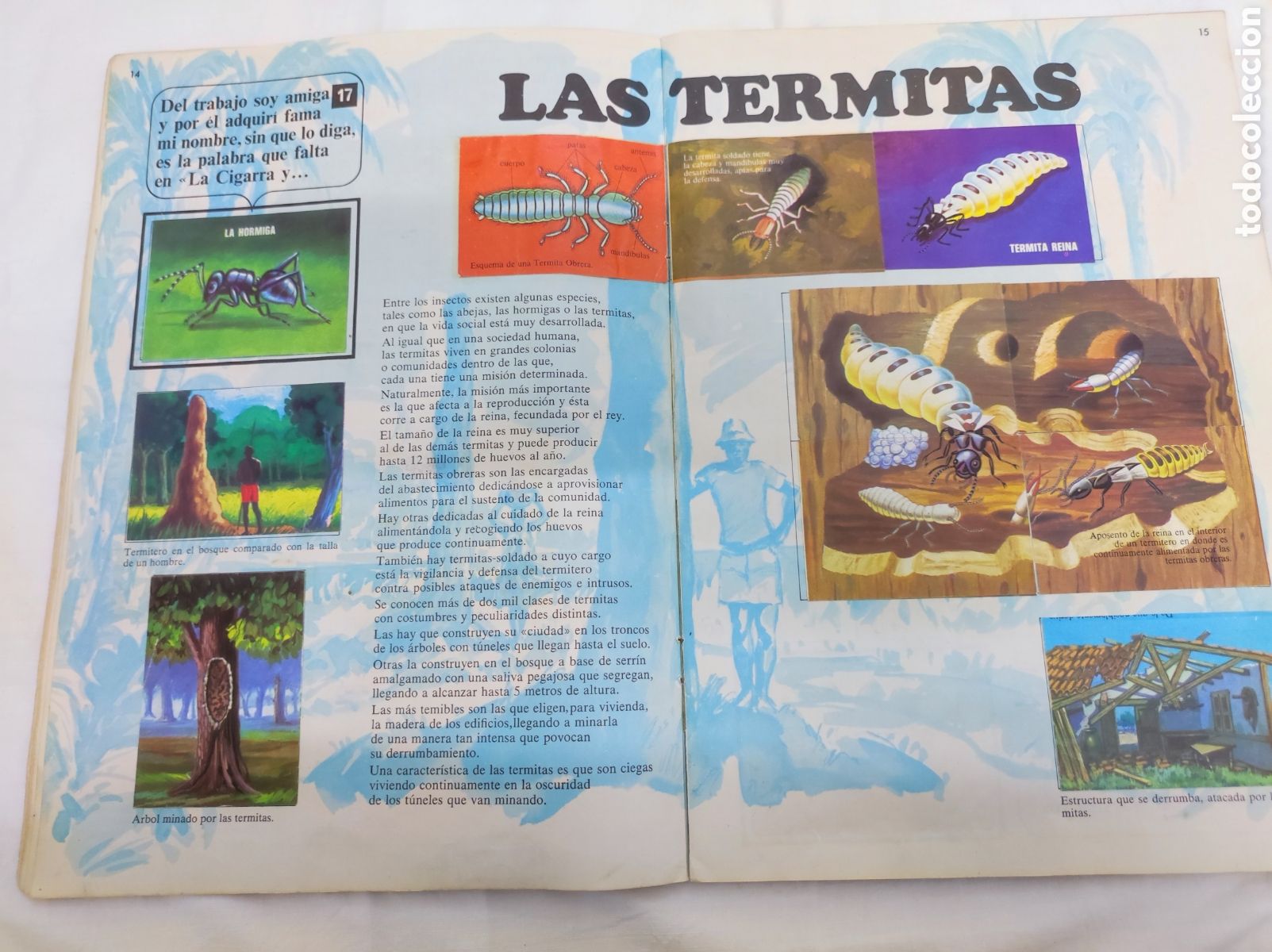 Coleccionismo &aacute;lbum: EL LIBRO DE LAS ADIVINANZAS - BIMBO - Foto 22
