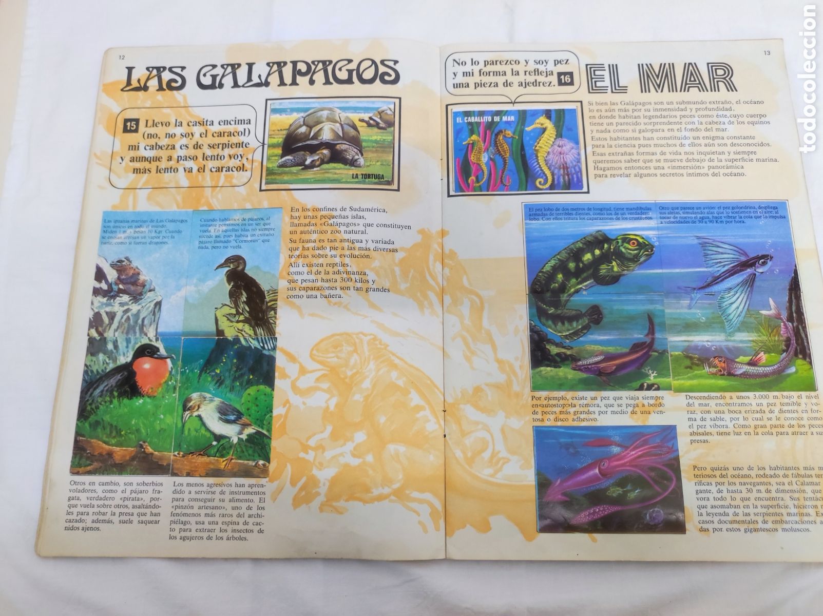 Coleccionismo &aacute;lbum: EL LIBRO DE LAS ADIVINANZAS - BIMBO - Foto 23