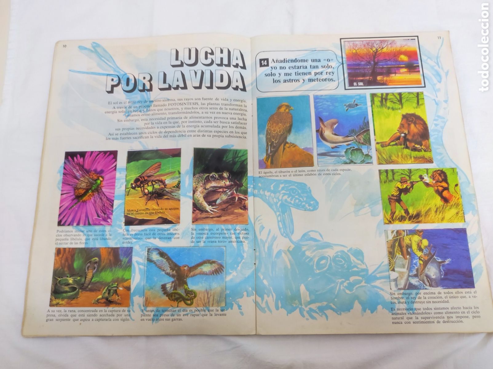 Coleccionismo &aacute;lbum: EL LIBRO DE LAS ADIVINANZAS - BIMBO - Foto 24