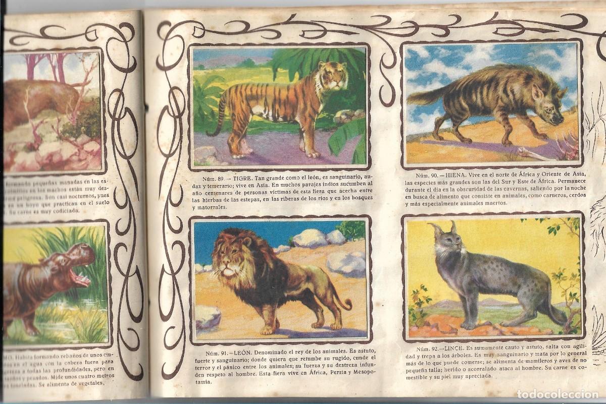 Coleccionismo &aacute;lbum: ZOOLOGICO - COMPLETO - Foto 2