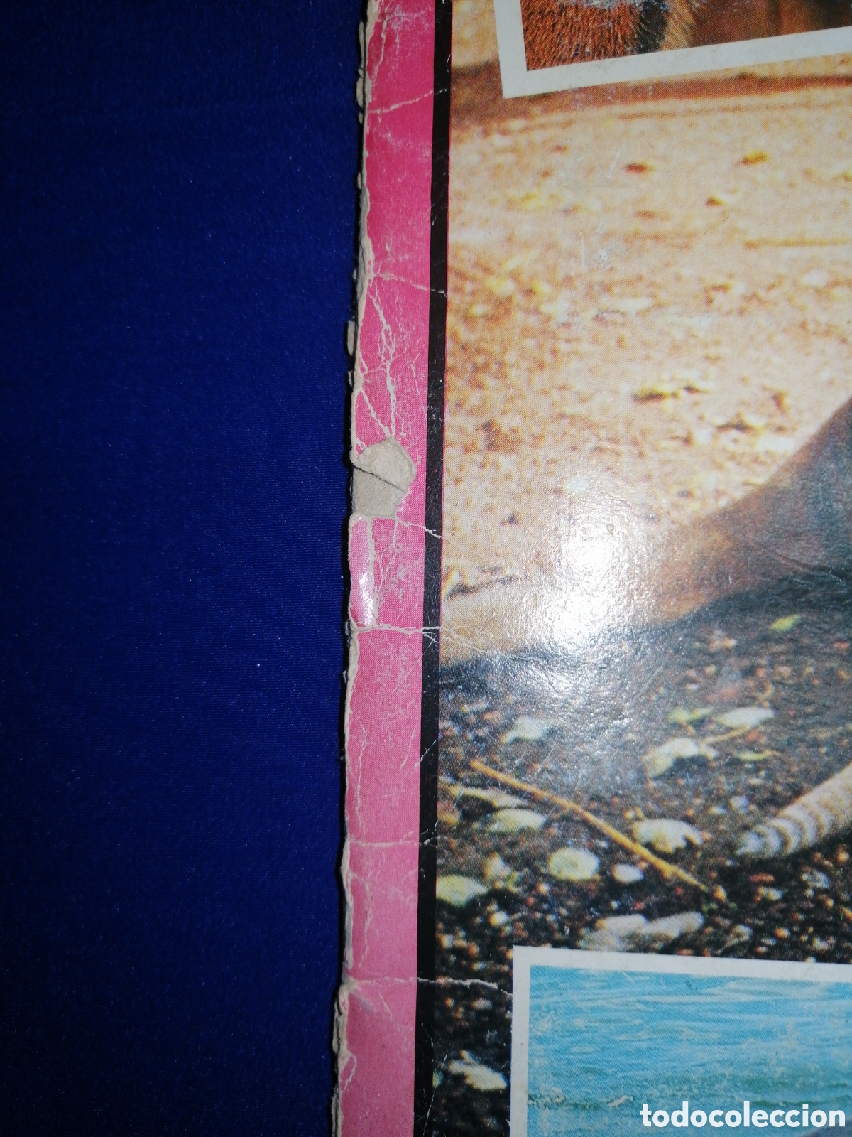 Coleccionismo &aacute;lbum: AL LADO DE LOS ANIMALES - Foto 3