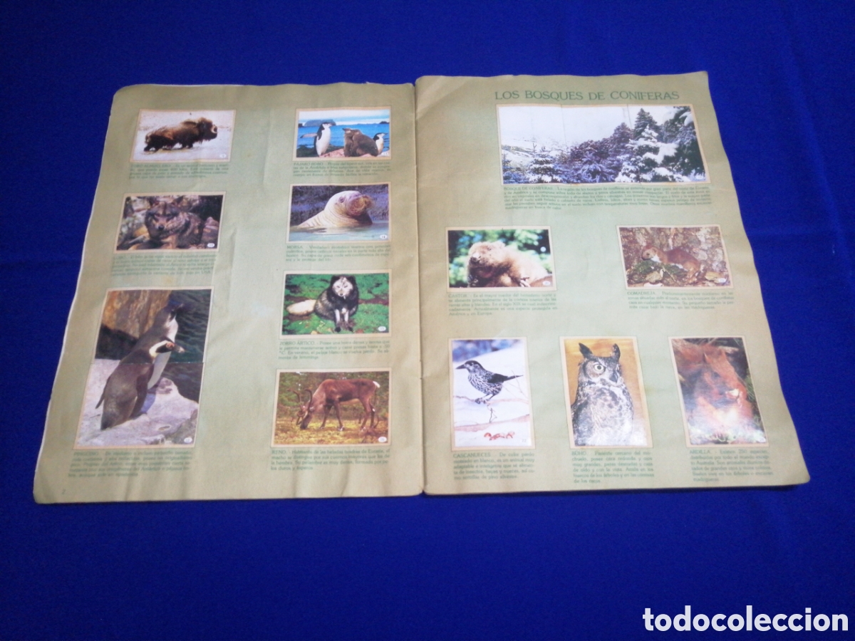 Coleccionismo &aacute;lbum: AL LADO DE LOS ANIMALES - Foto 5