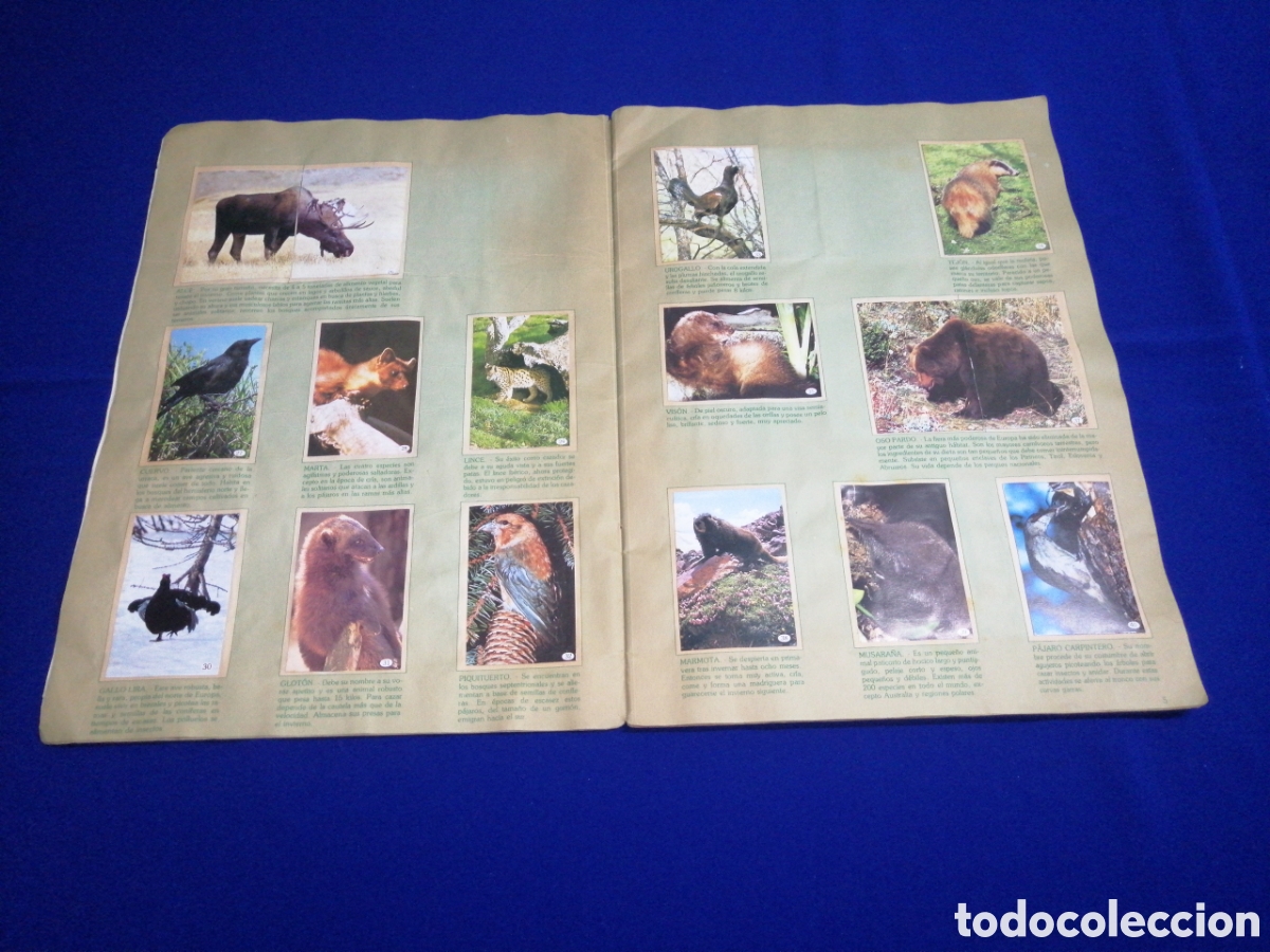 Coleccionismo &aacute;lbum: AL LADO DE LOS ANIMALES - Foto 6