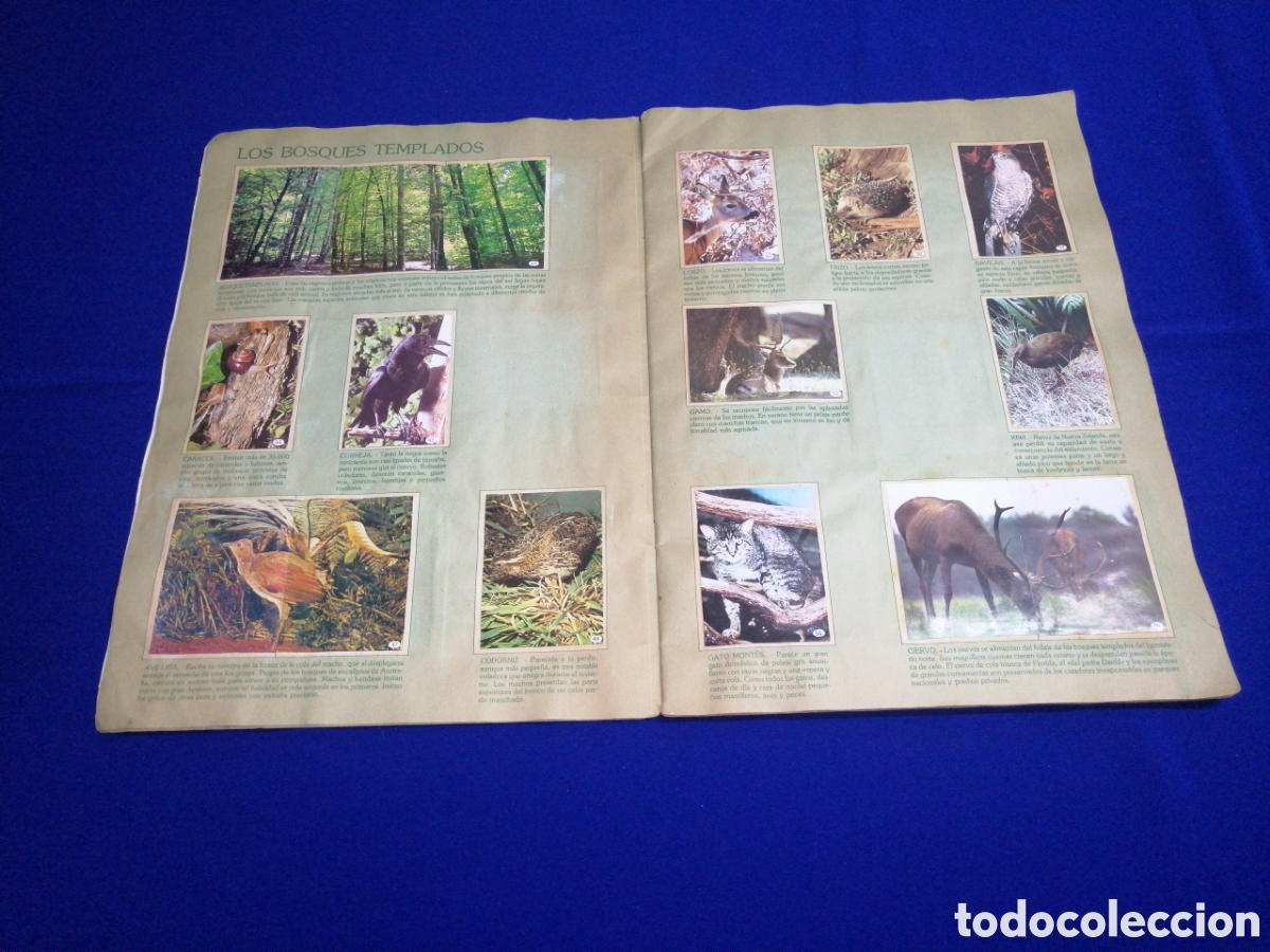 Coleccionismo &aacute;lbum: AL LADO DE LOS ANIMALES - Foto 7