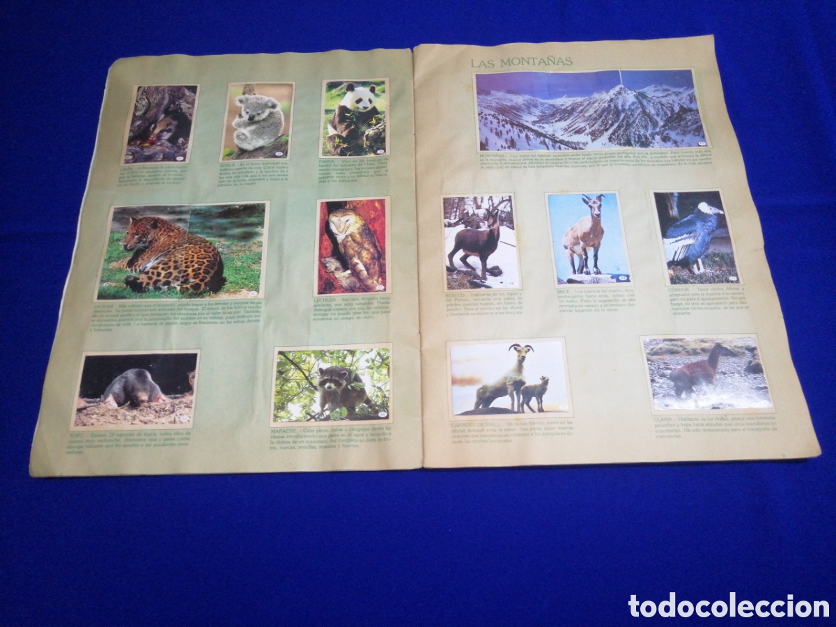 Coleccionismo &aacute;lbum: AL LADO DE LOS ANIMALES - Foto 8