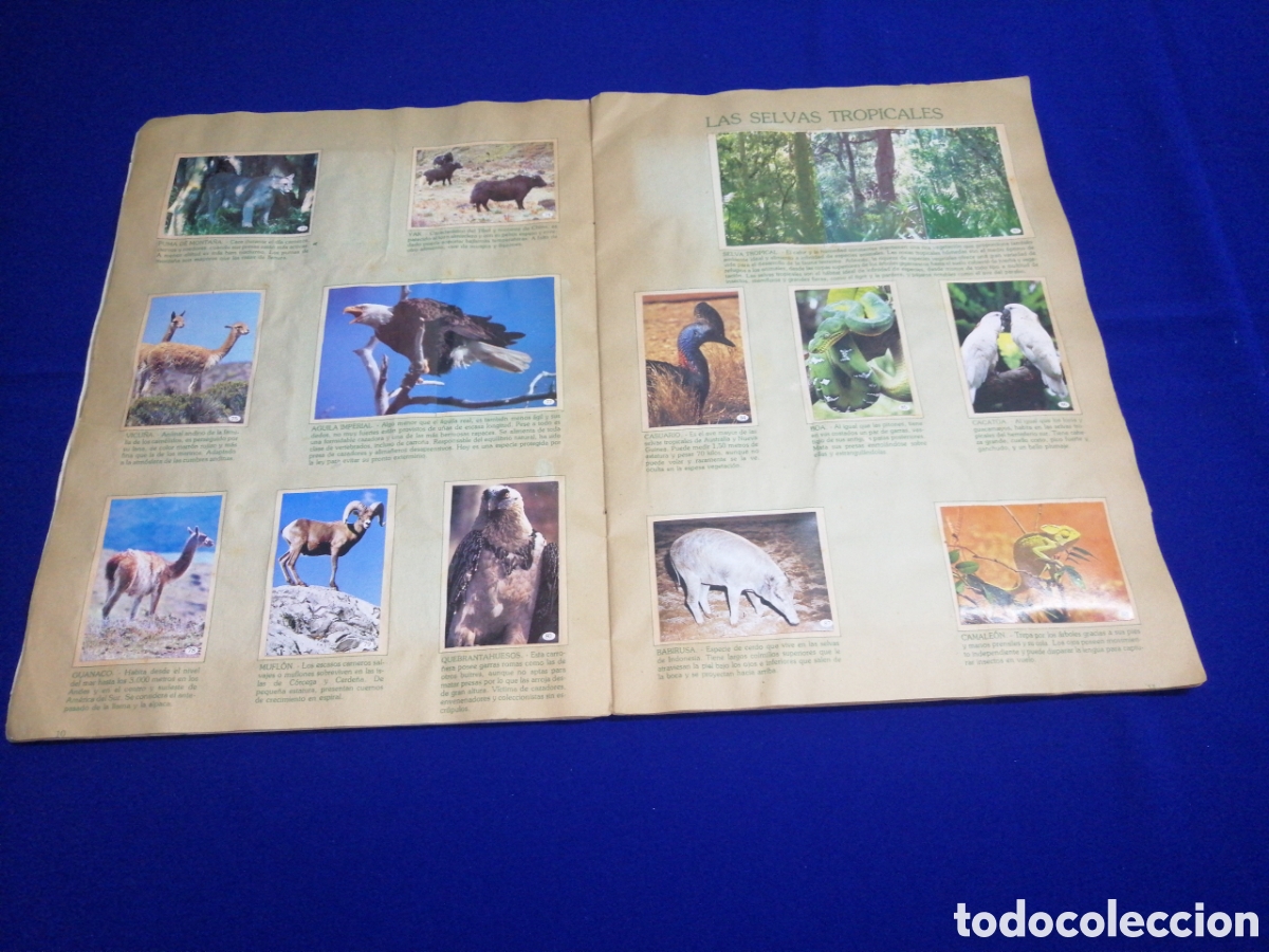 Coleccionismo &aacute;lbum: AL LADO DE LOS ANIMALES - Foto 9