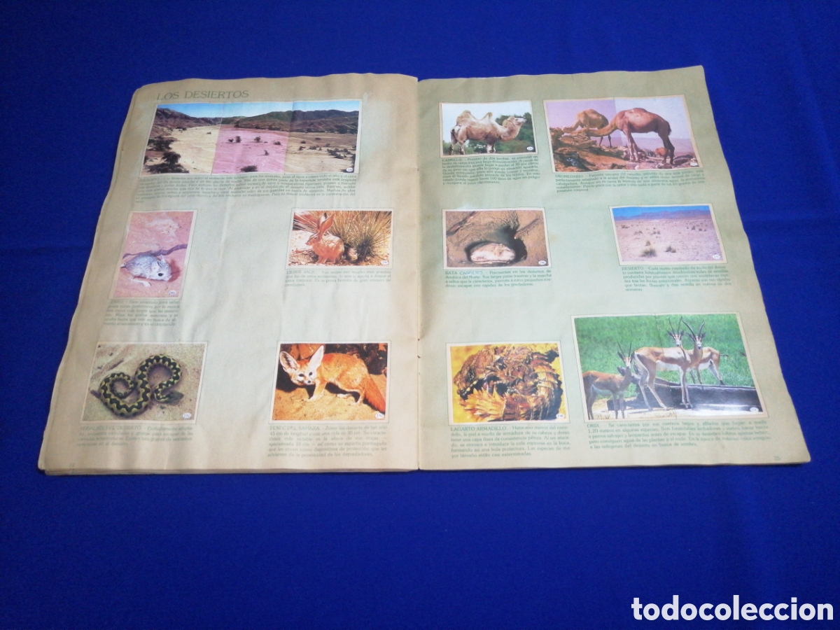 Coleccionismo &aacute;lbum: AL LADO DE LOS ANIMALES - Foto 17
