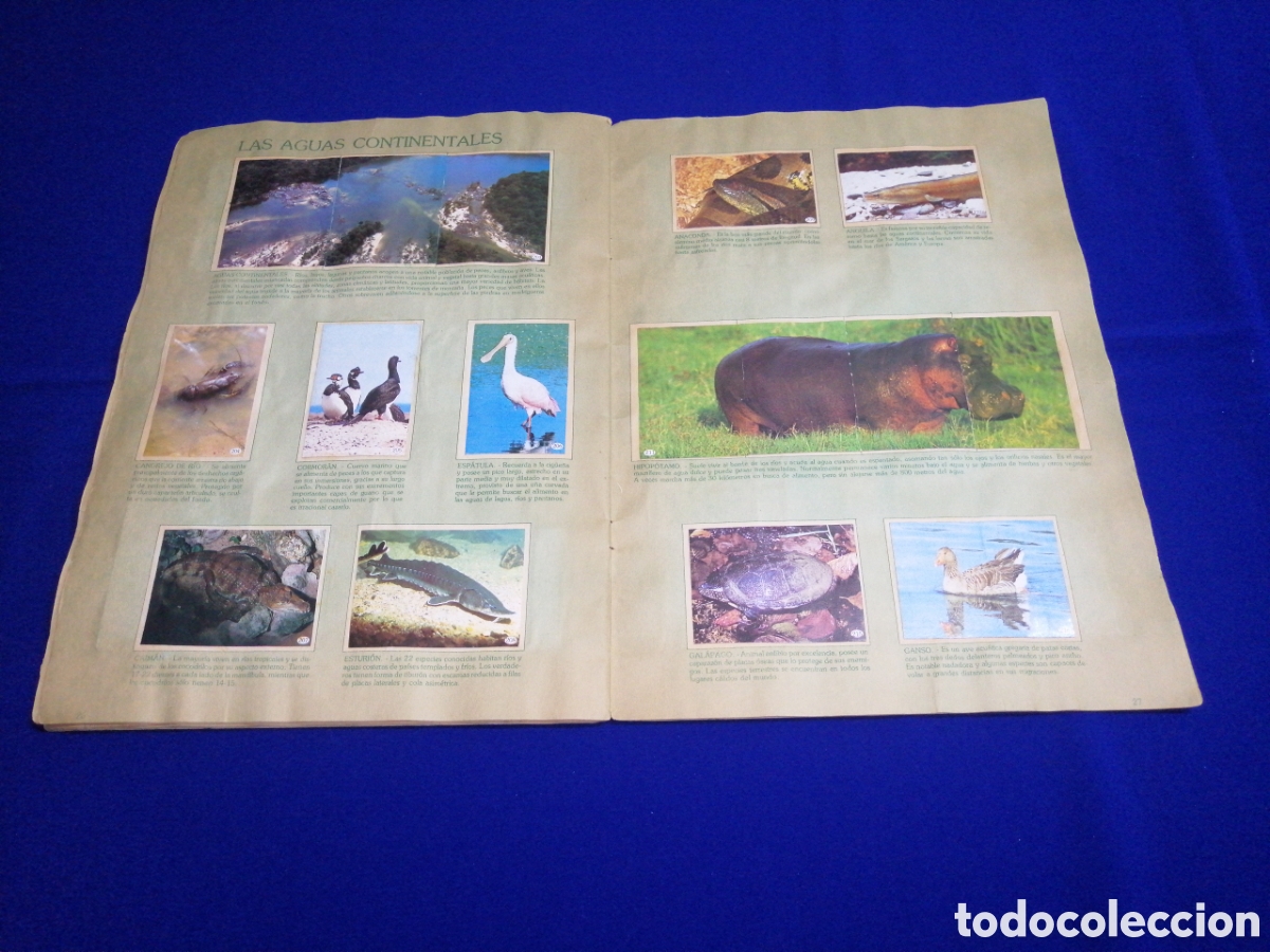 Coleccionismo &aacute;lbum: AL LADO DE LOS ANIMALES - Foto 18