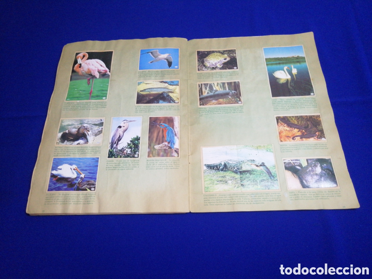 Coleccionismo &aacute;lbum: AL LADO DE LOS ANIMALES - Foto 19