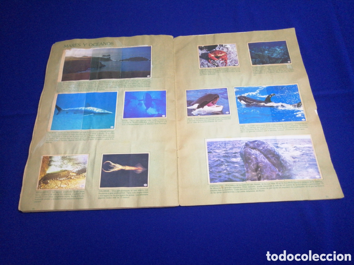 Coleccionismo &aacute;lbum: AL LADO DE LOS ANIMALES - Foto 20