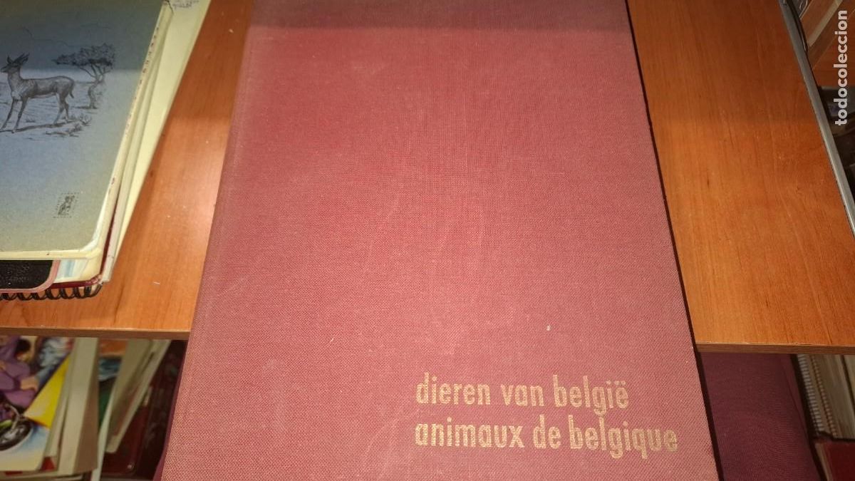 Colecionismo Caderneta: Album cromos. Dieren van belgie animaux de Belgique. Completo