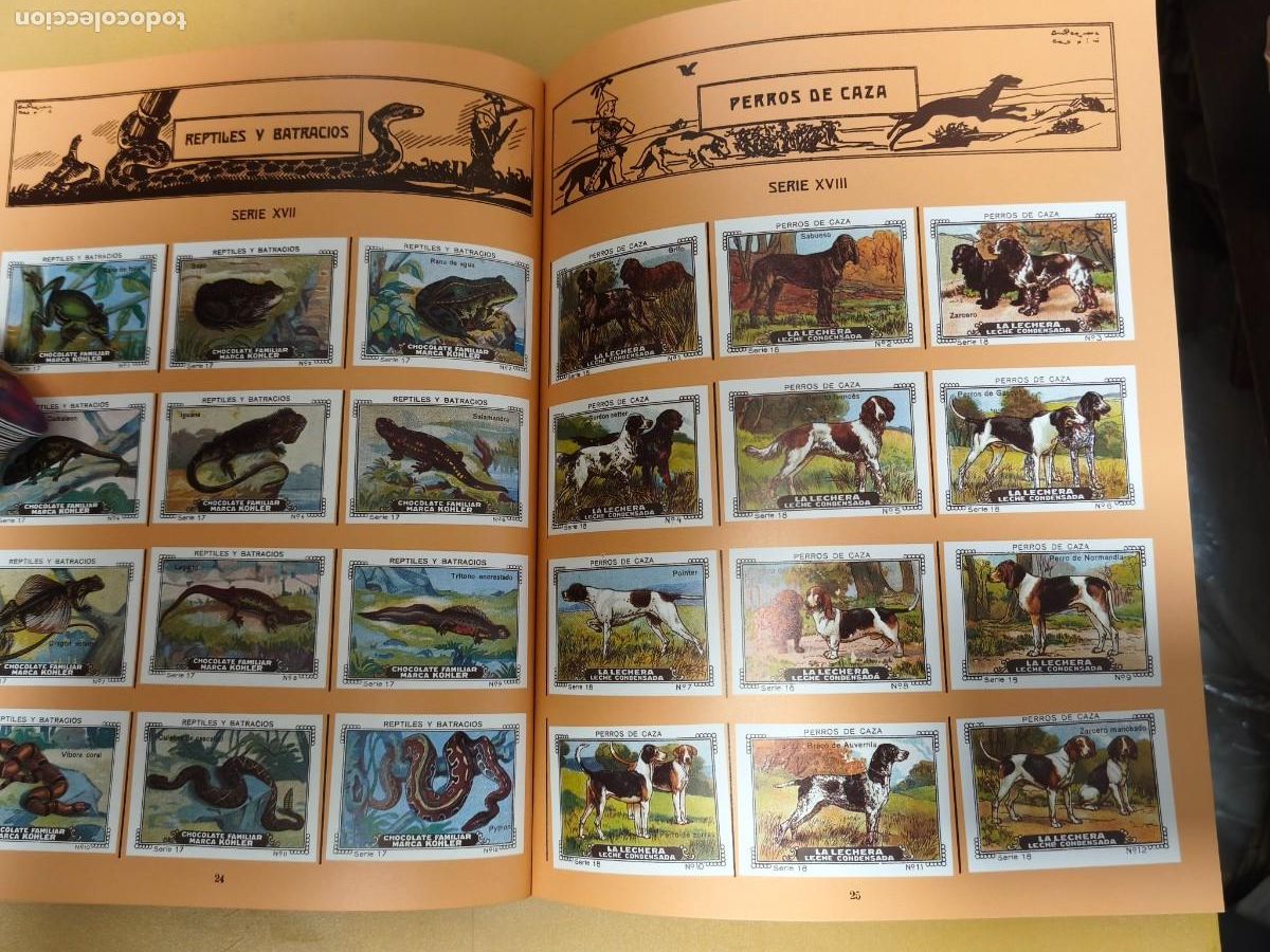 Coleccionismo &aacute;lbum: album nestle, completo. - Foto 12