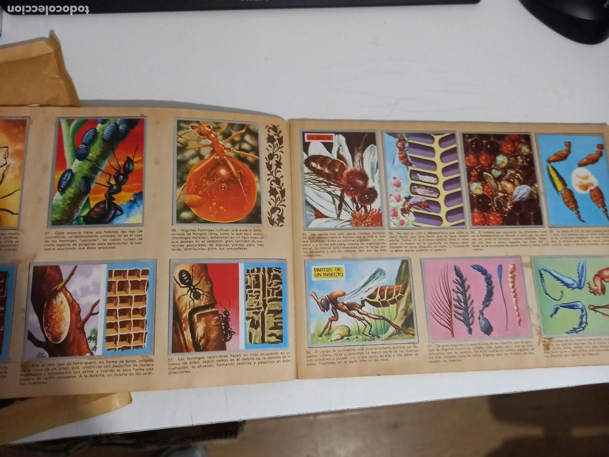 Coleccionismo &aacute;lbum: ZOOLOGIA Y BOTANICA (MAGA) - Foto 2