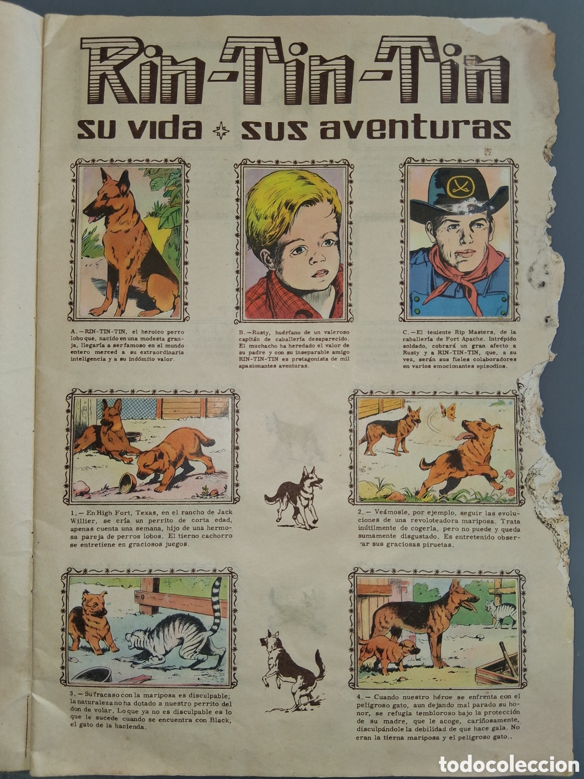 Coleccionismo &aacute;lbum: Album de cromos Rin Tin Tin - Foto 2