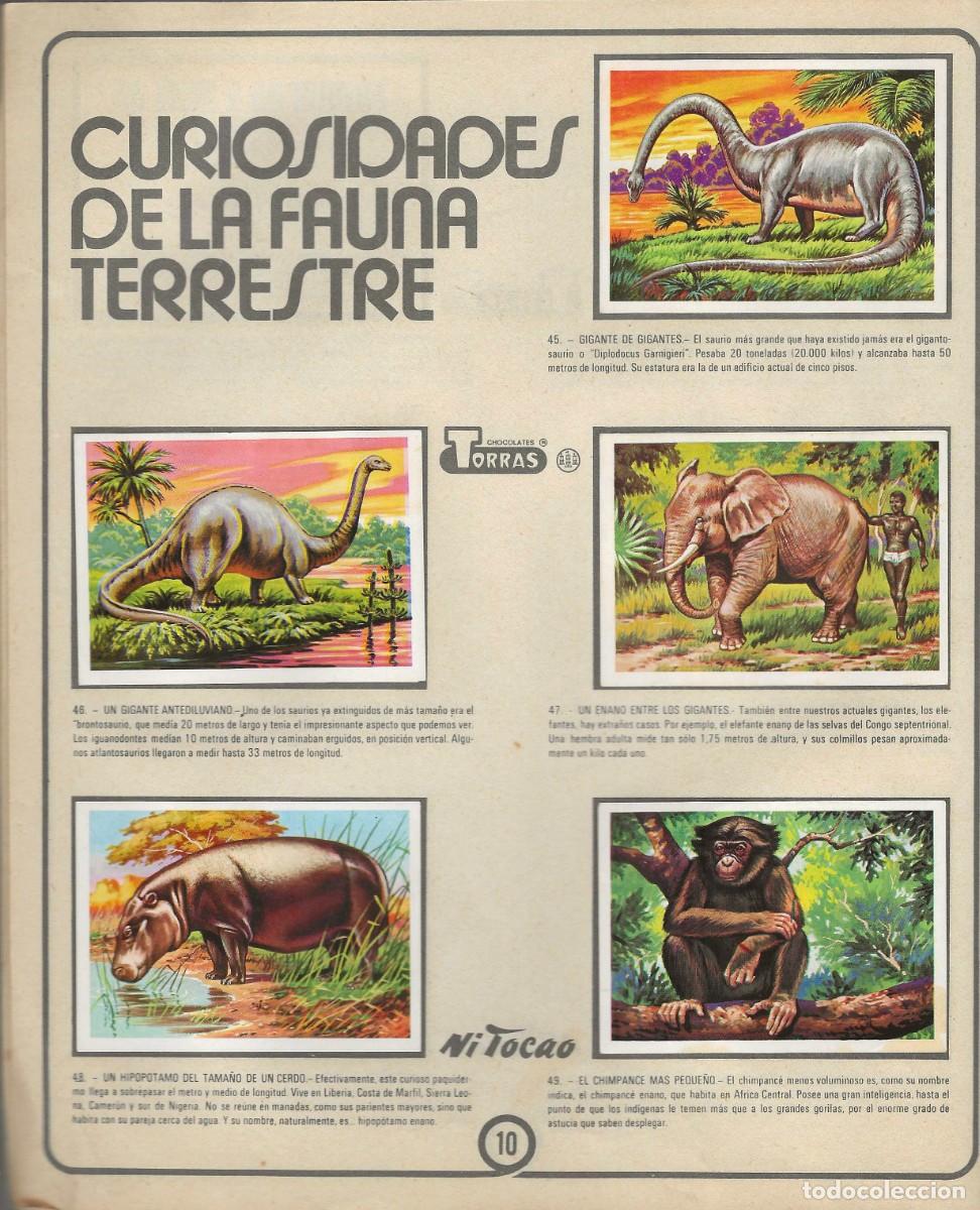 Coleccionismo &aacute;lbum: CHOCOLATES TORRAS -- EL M&Aacute;S Y EL MENOS -- COMPLETA - Foto 5