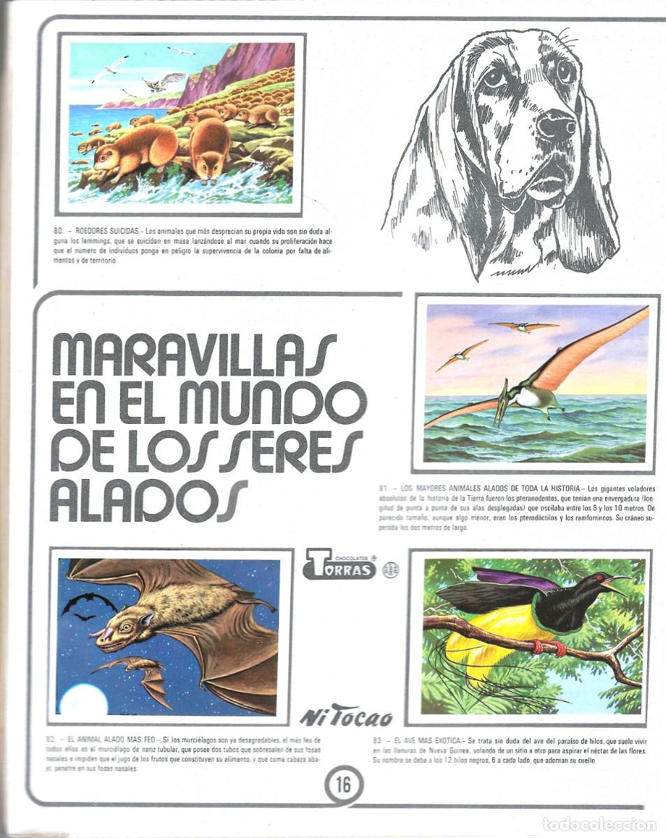 Coleccionismo &aacute;lbum: CHOCOLATES TORRAS -- EL M&Aacute;S Y EL MENOS -- COMPLETA - Foto 6