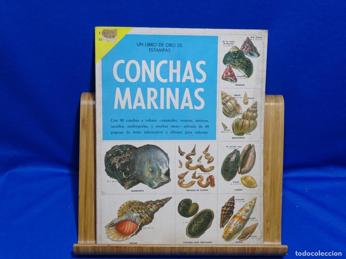 Coleccionismo &Aacute;lbum: ALBUM CONCHAS MARINAS. COMPLETO.