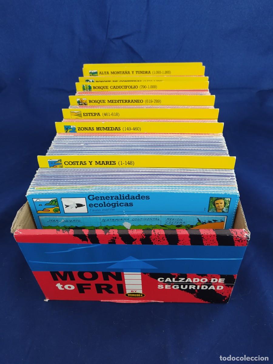 Coleccionismo &Aacute;lbum: FICHERO COMPLETO DE LOS AMIGOS DE FELIX RODRIGUEZ DE LA FUENTE (1980) 1320 FICHAS ANIMALES URBION