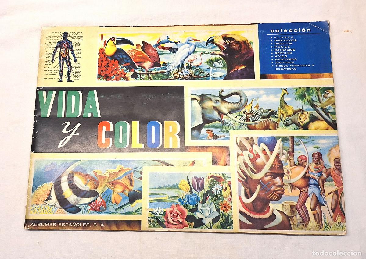 Coleccionismo &Aacute;lbum: &Aacute;lbum Vida y Color &Aacute;lbumes Espa&ntilde;oles a&ntilde;o 65 Completo