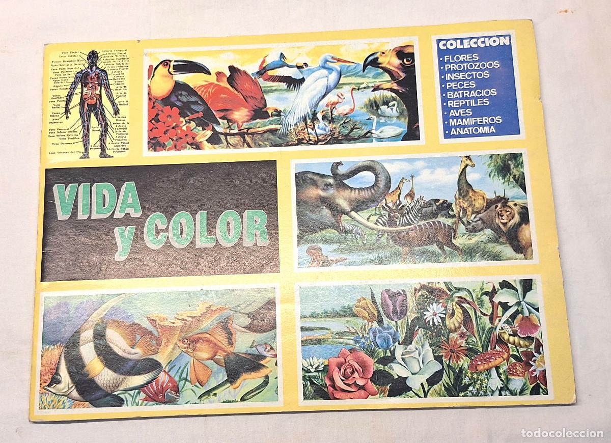 Coleccionismo &Aacute;lbum: &Aacute;lbum Vida y Color Comicromo a&ntilde;o 92 Completo
