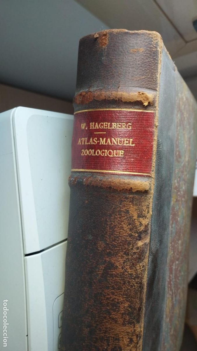Coleccionismo &Aacute;lbum: ATLAS-MANUAL ZOOL&Oacute;GICO. W. Hagelberg. COMPLETO 1083 CROMOS SIGLO XIX