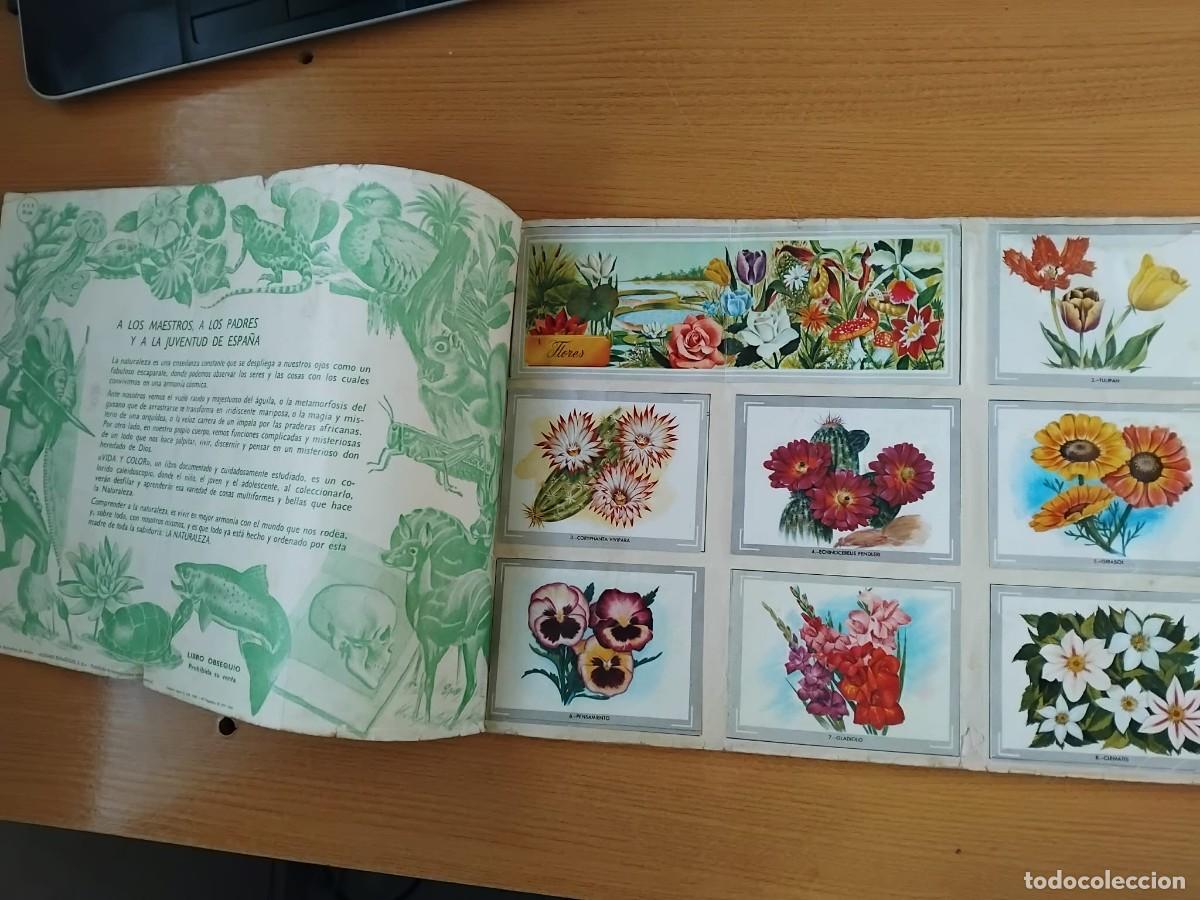 Coleccionismo &Aacute;lbum: VIDA Y COLOR . COMPLETO. 380 CROMOS. ALBUMES ESPA&Ntilde;OLES. 1968.(ST/PN2)