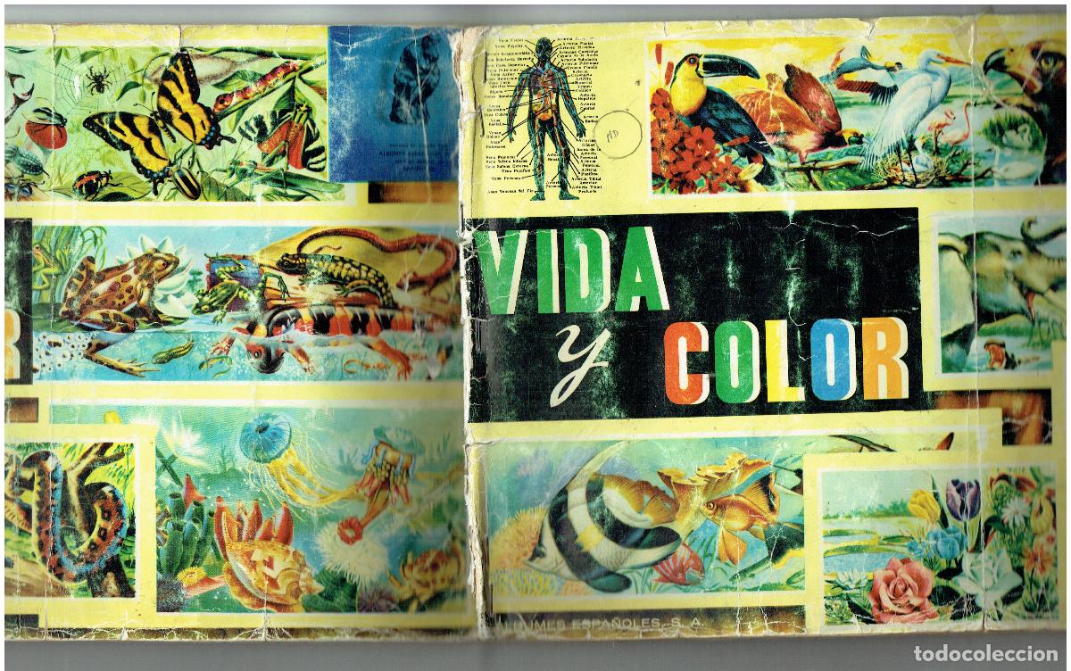 Coleccionismo &Aacute;lbum: VIDA Y COLOR . COMPLETO. 380 CROMOS. ALBUMES ESPA&Ntilde;OLES. 1968.(ST/PN2)