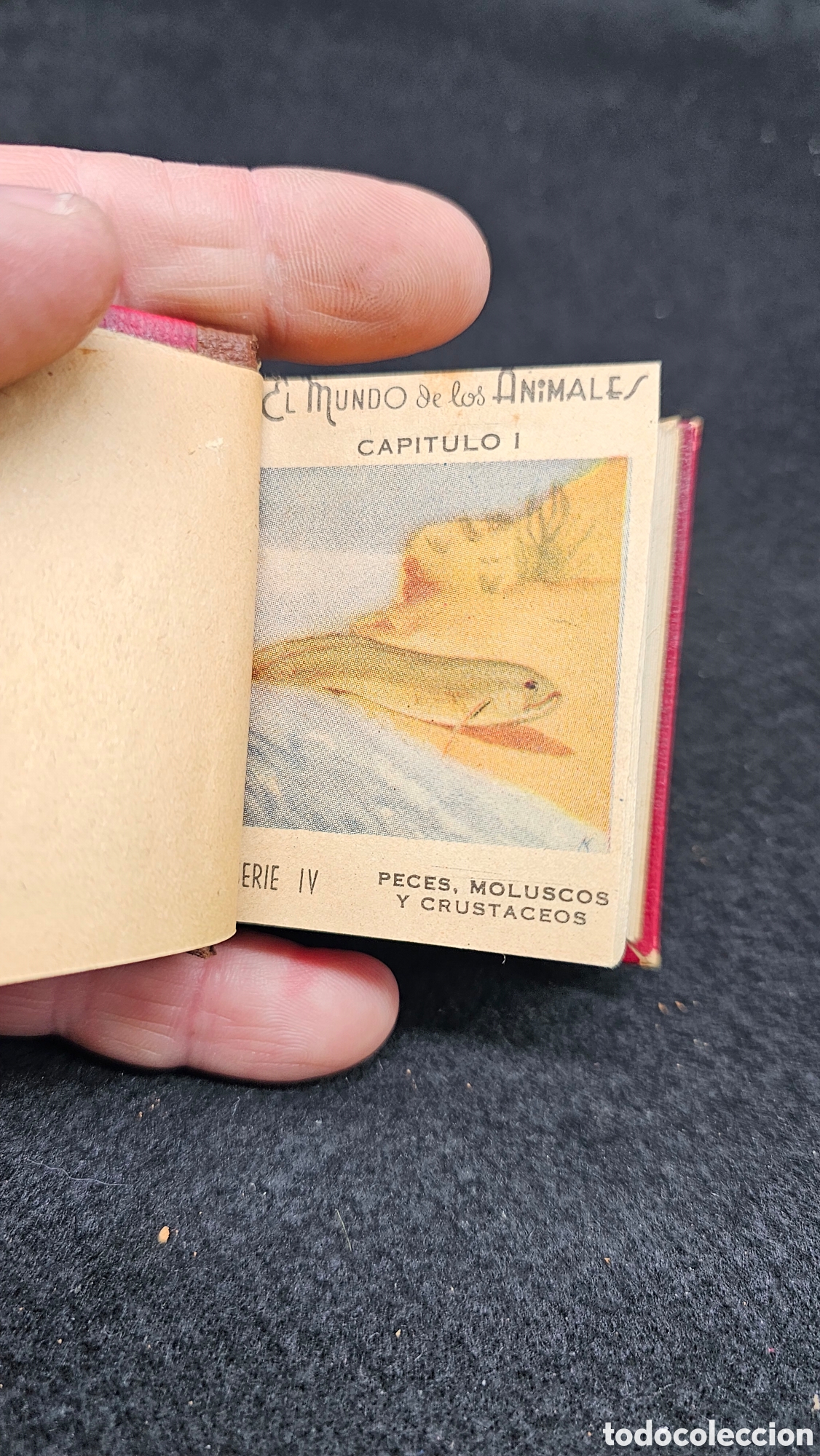 Coleccionismo &Aacute;lbum: Colecci&oacute;n de cromos antiguos El mundo de los animales ( peces, moluscos y crust&aacute;ceos) la mascota