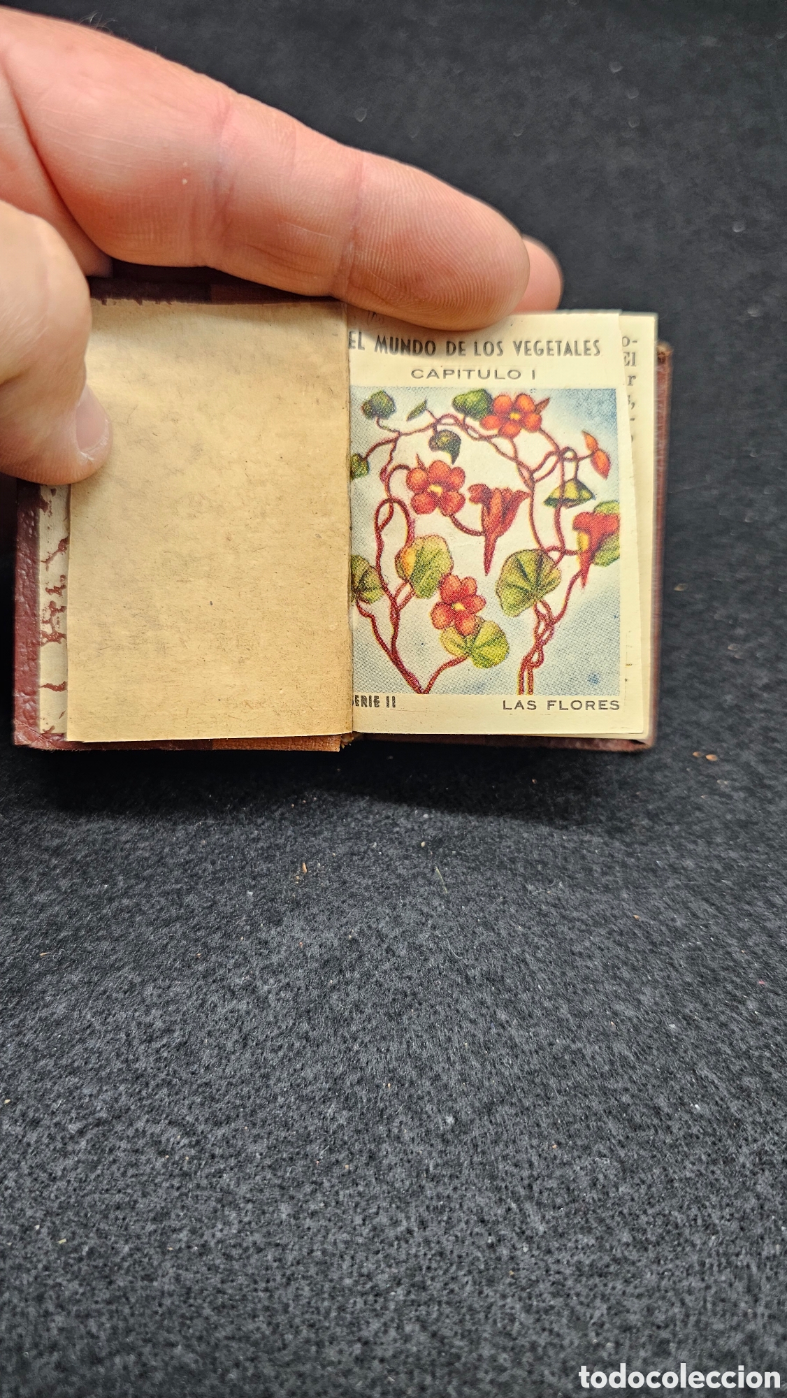Coleccionismo &Aacute;lbum: Antigua colecci&oacute;n de cromos El mundo de los vegetales ( LAS FLORES) La Mascota convertido en libro