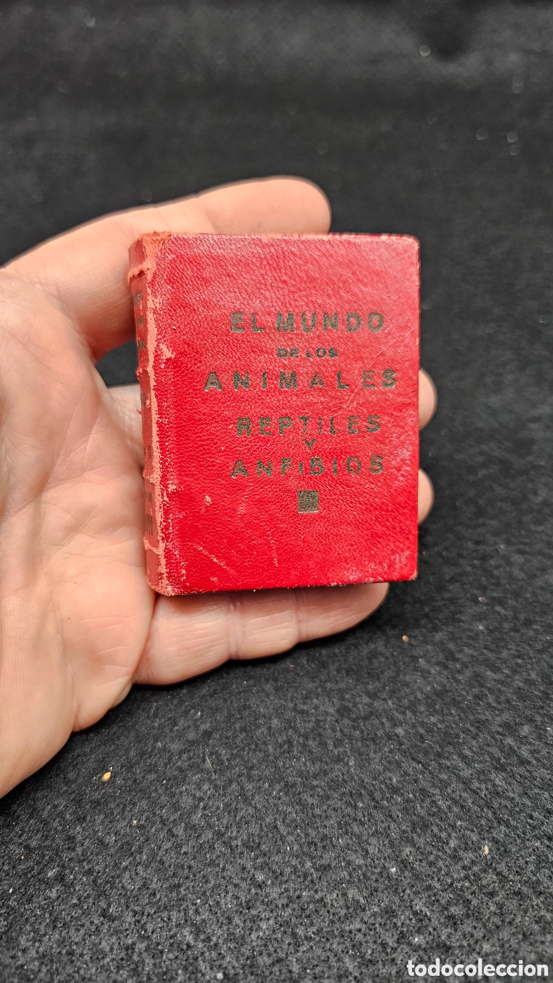 Sammeln Sammelalbum: Antiguos cromos se la Mascota El mundo de los animales ( REPTILES Y ANFIBIOS)