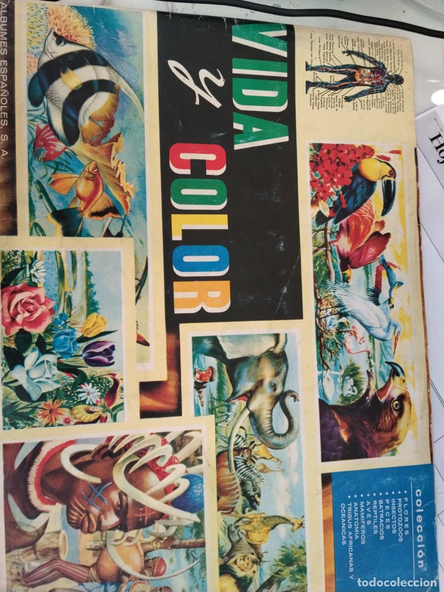 Sammeln Sammelalbum: Album de cromos. Vida y color completo
