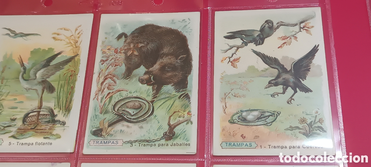 Coleccionismo &Aacute;lbum: - TRAMPAS PARA ANIMALES - COLECCION COMPLETA DE 25 CROMOS - EXCELENTES