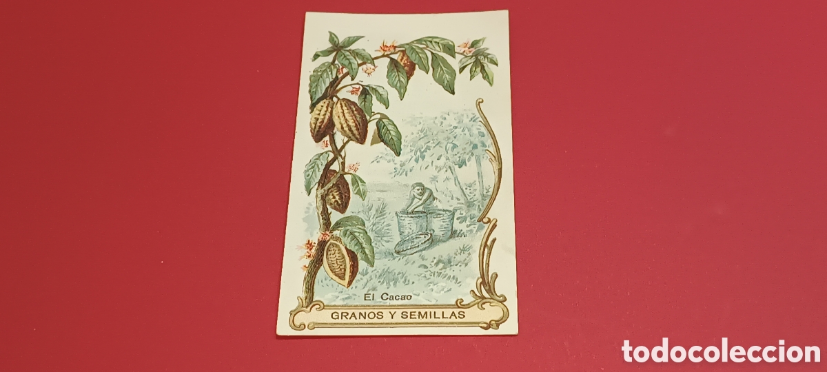 Coleccionismo &Aacute;lbum: - &rdquo; GRANOS Y SEMILLAS &rdquo; - COLECCION COMPLETA DE 20 CROMOS - CHOCOLATES TORRAS - EXCELENTE Y DIFICIL
