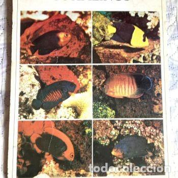 Collectionnisme Album: Album completo Peces Coralinos , con sus 32 cromos , a&ntilde;o 1979