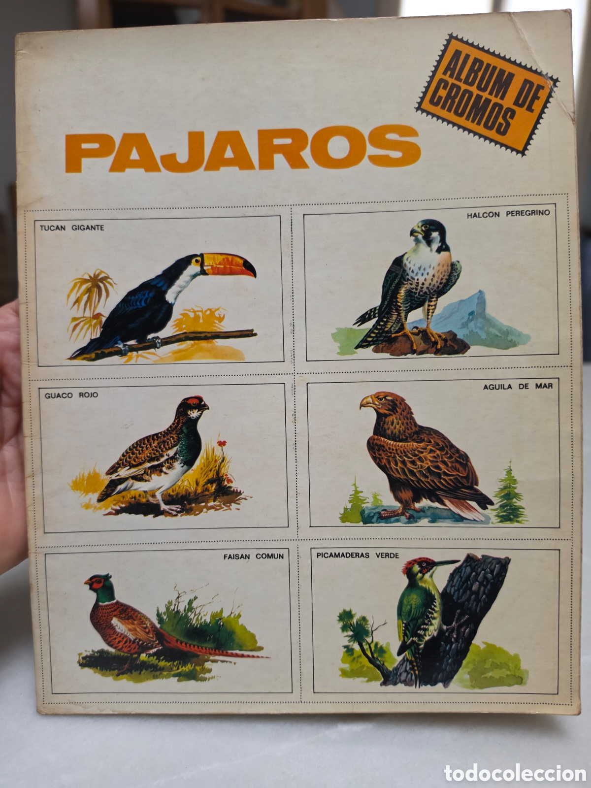 Coleccionismo &Aacute;lbum: PAJAROS. ALBUM DE CROMOS. COMPLETO. A&Ntilde;OS 70.