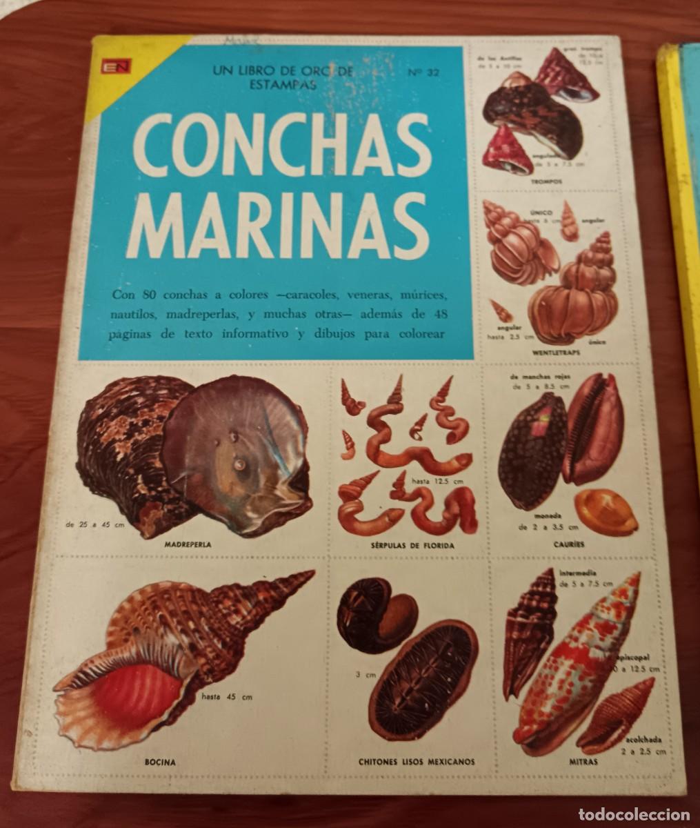 Coleccionismo &Aacute;lbum: &Aacute;LBUM COMPLETO CONCHAS MARINAS UN LIBRO DE ORO DE ESTAMPAS N&ordm; 32 NOVARO A&Ntilde;O 1975