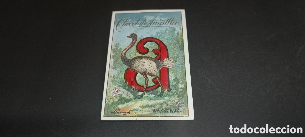 Coleccionismo &Aacute;lbum: COLECCION COMPLETA - &rdquo; ABECEDARIO ZOOLOGICO &rdquo; - 28 CROMOS - CASA AMATLLER - MUY BUEN ESTADO