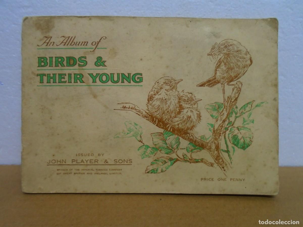 Coleccionismo &Aacute;lbum: BIRDS&THEIR YOUNG(AVES Y SUS CRIAS)ALBUM COMPLETO CON 50 CROMOS.ORIGINAL 1937.(PLAYER&acute;S)