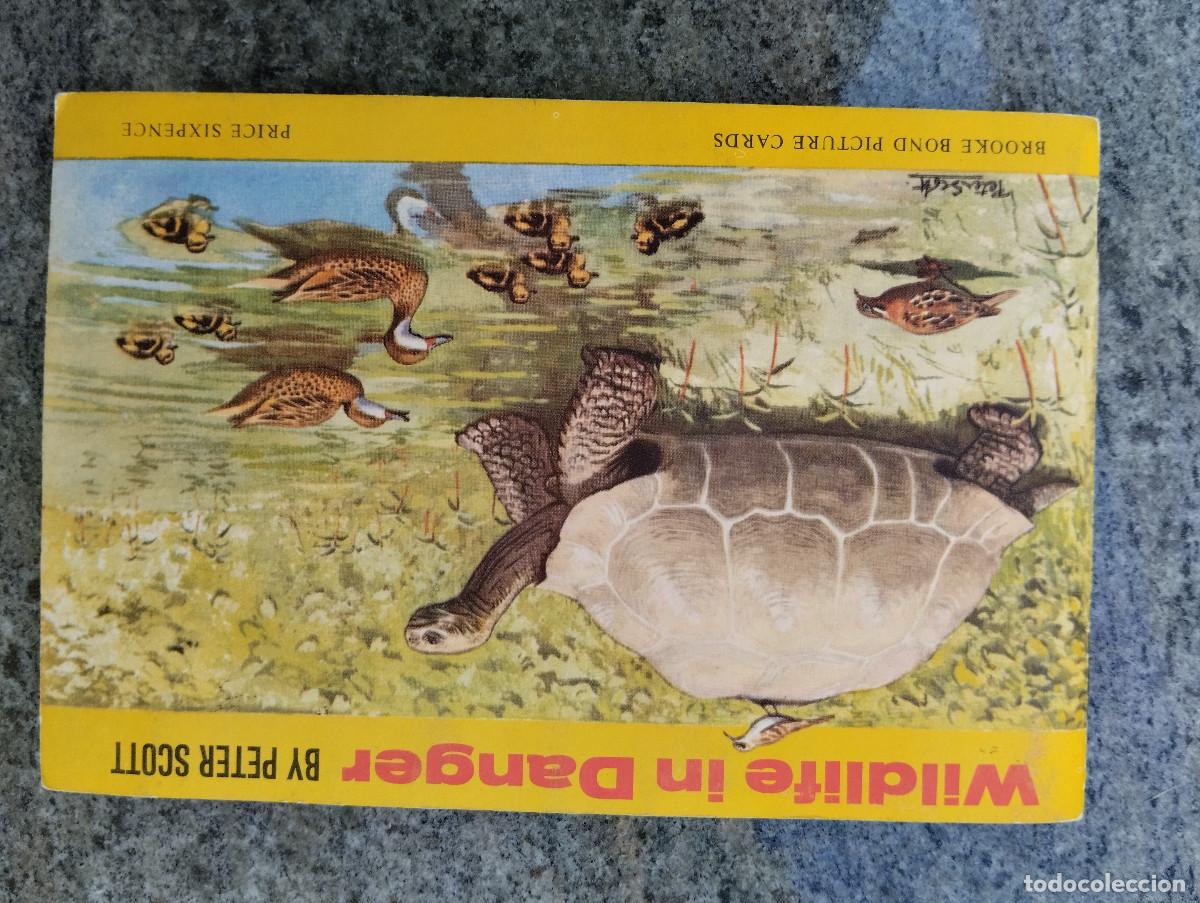 Coleccionismo &Aacute;lbum: ALBUM DE CROMOS EN INGLES .... WILDLIFE IN DANGER (ESPECIES EN EXTINCION) / BY PETER SCOTT