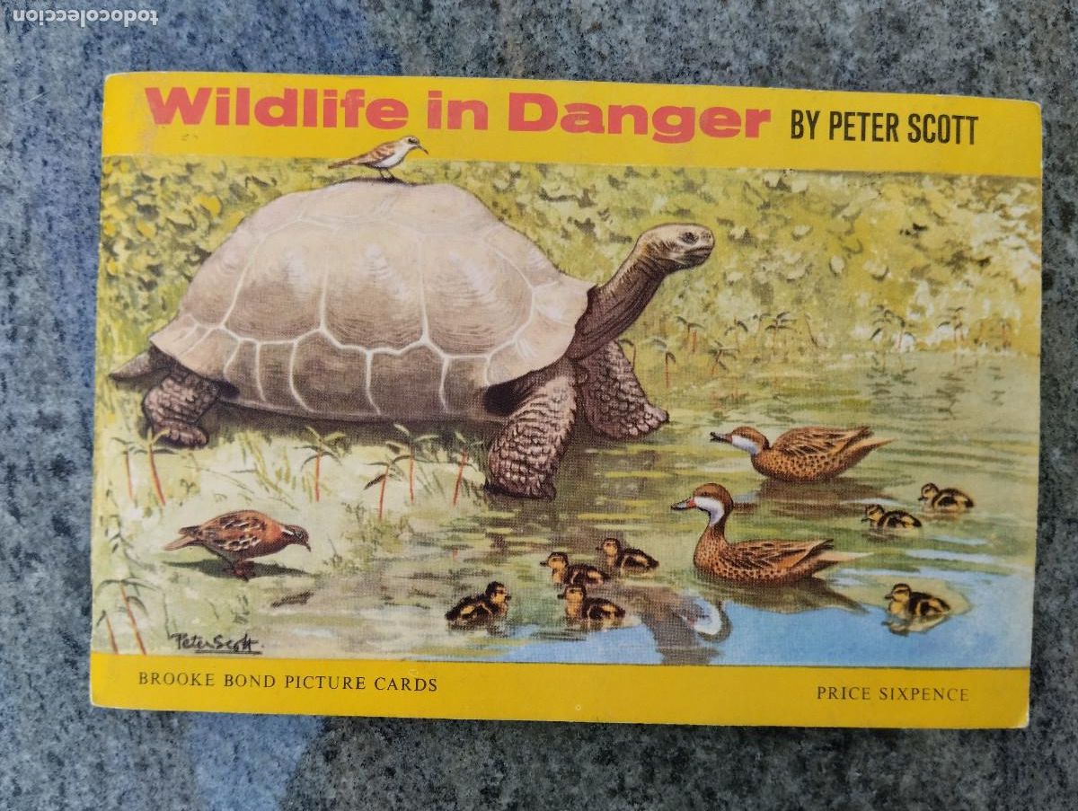 Coleccionismo &Aacute;lbum: ALBUM DE CROMOS EN INGLES .... WILDLIFE IN DANGER (ESPECIES EN EXTINCION) / BY PETER SCOTT