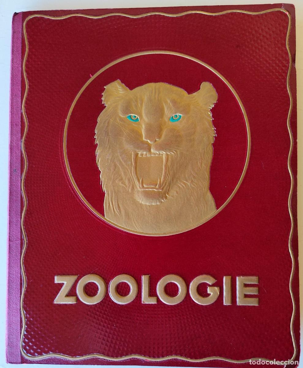 Coleccionismo &aacute;lbum: &Aacute;LBUM DE CROMOS COMPLETO - ZOOLOGIE - CACAO & CHOCOLAT KWATTA (APROX. A&Ntilde;OS 30)
