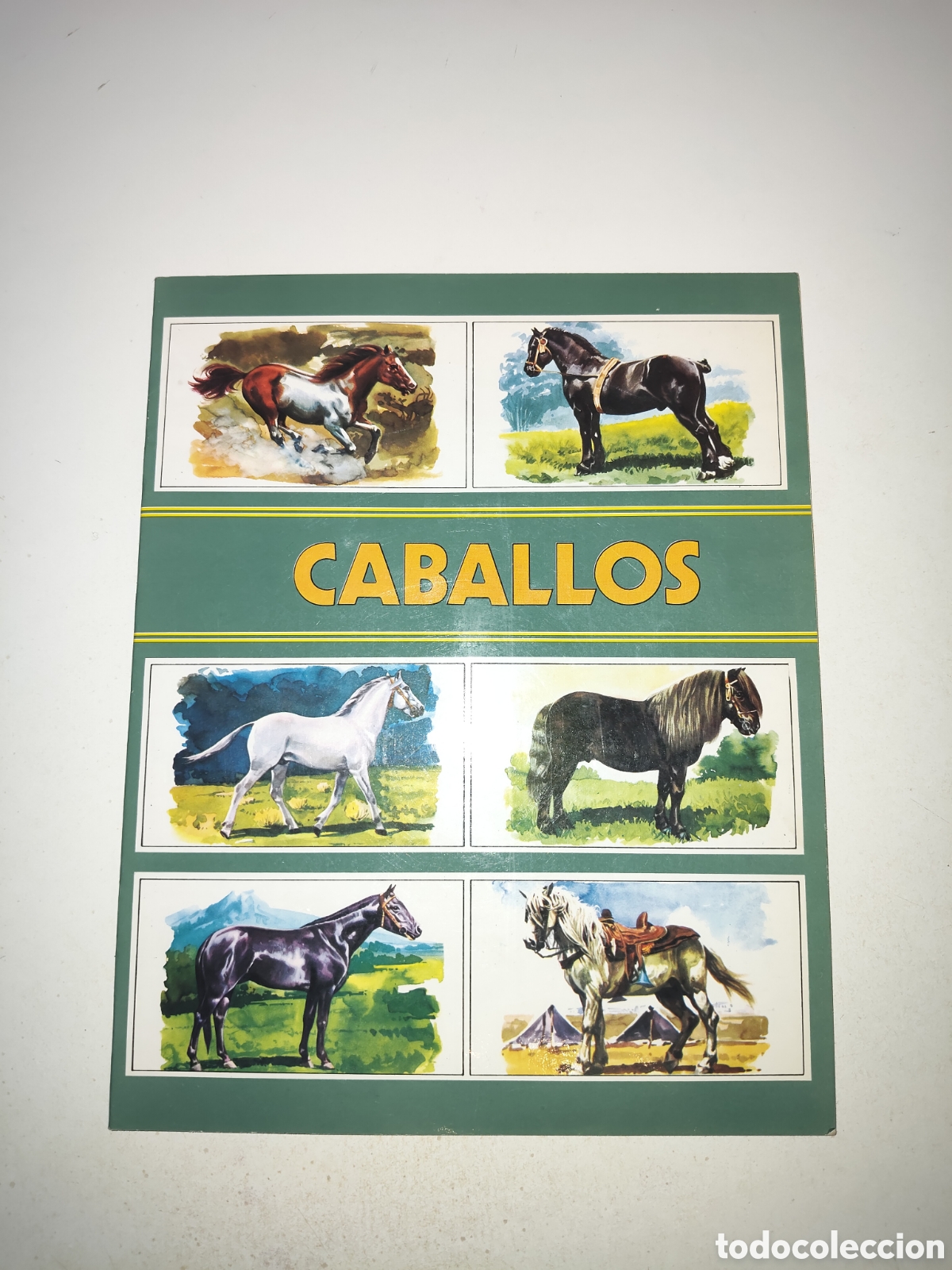 Coleccionismo &aacute;lbum: ALBUN COMPLETO CABALLOS Y BIEN CUIDADO