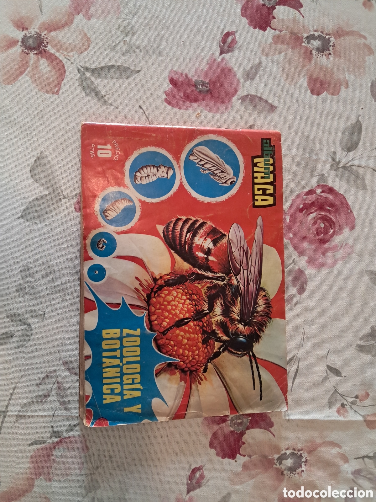 Coleccionismo &aacute;lbum: Album maga zoologia y botanica