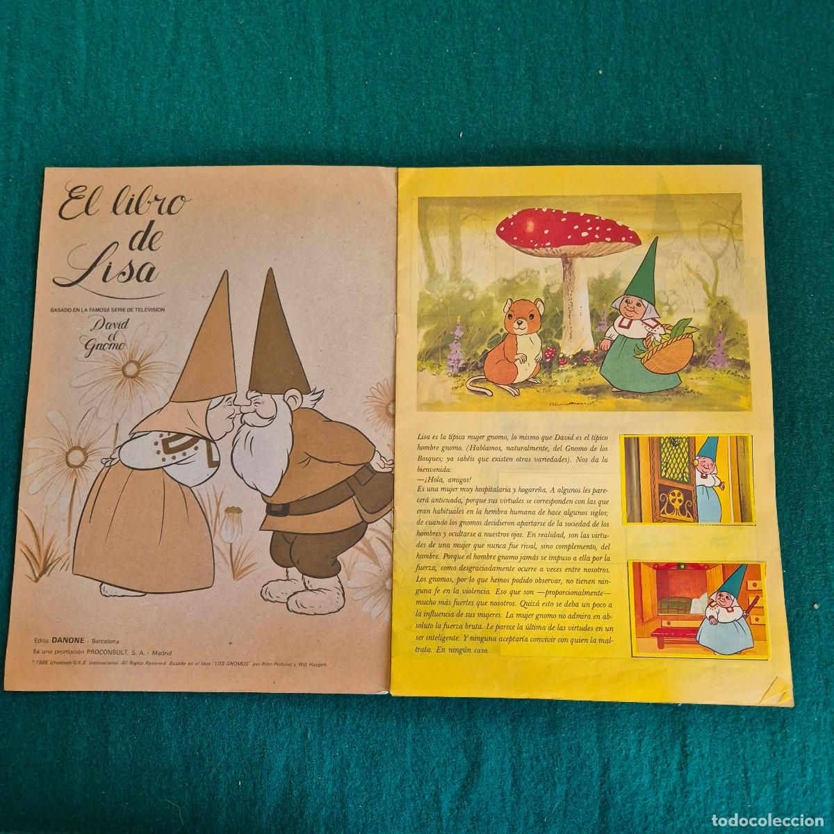 Coleccionismo &aacute;lbum: EL LIBRO DE LISA DANONE - Foto 2