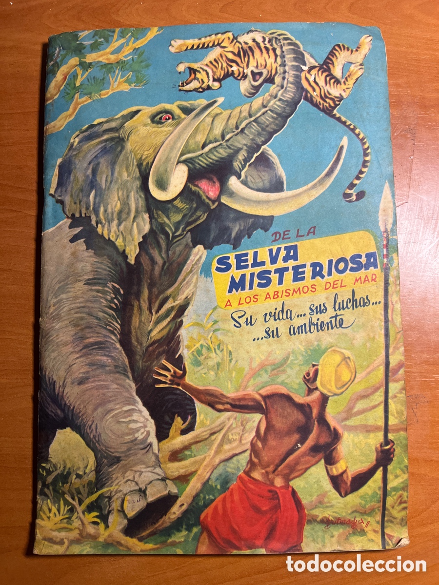 Sammeln Sammelalbum: &Aacute;LBUM LA SELVA MISTERIOSA, 302 CROMOS COMPLETO, (EDITORIAL FHER)