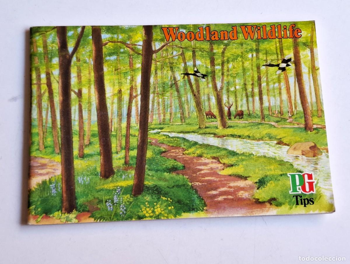 Collezionismo &Aacute;lbum: ALBUM COMPLETO DE CROMOS DE CIGARRILLOS - 19 X 13.CM
