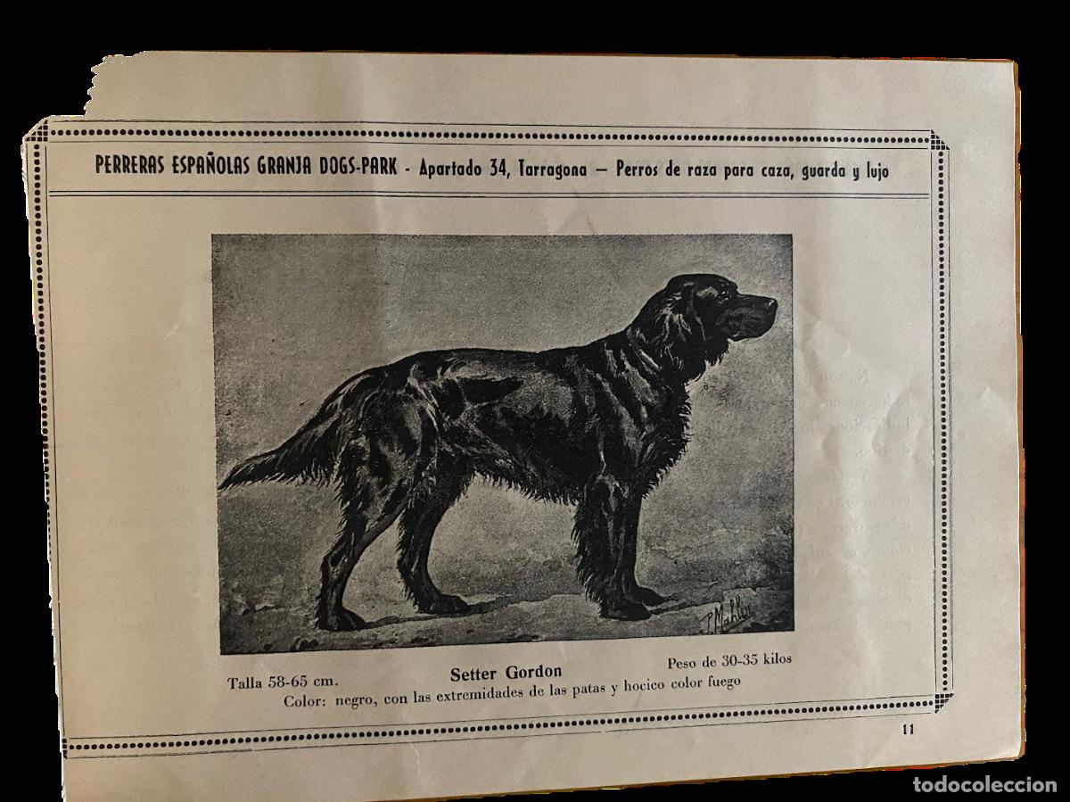 Coleccionismo &aacute;lbum: &Aacute;lbum general ilustrado de perros de raza - Foto 5
