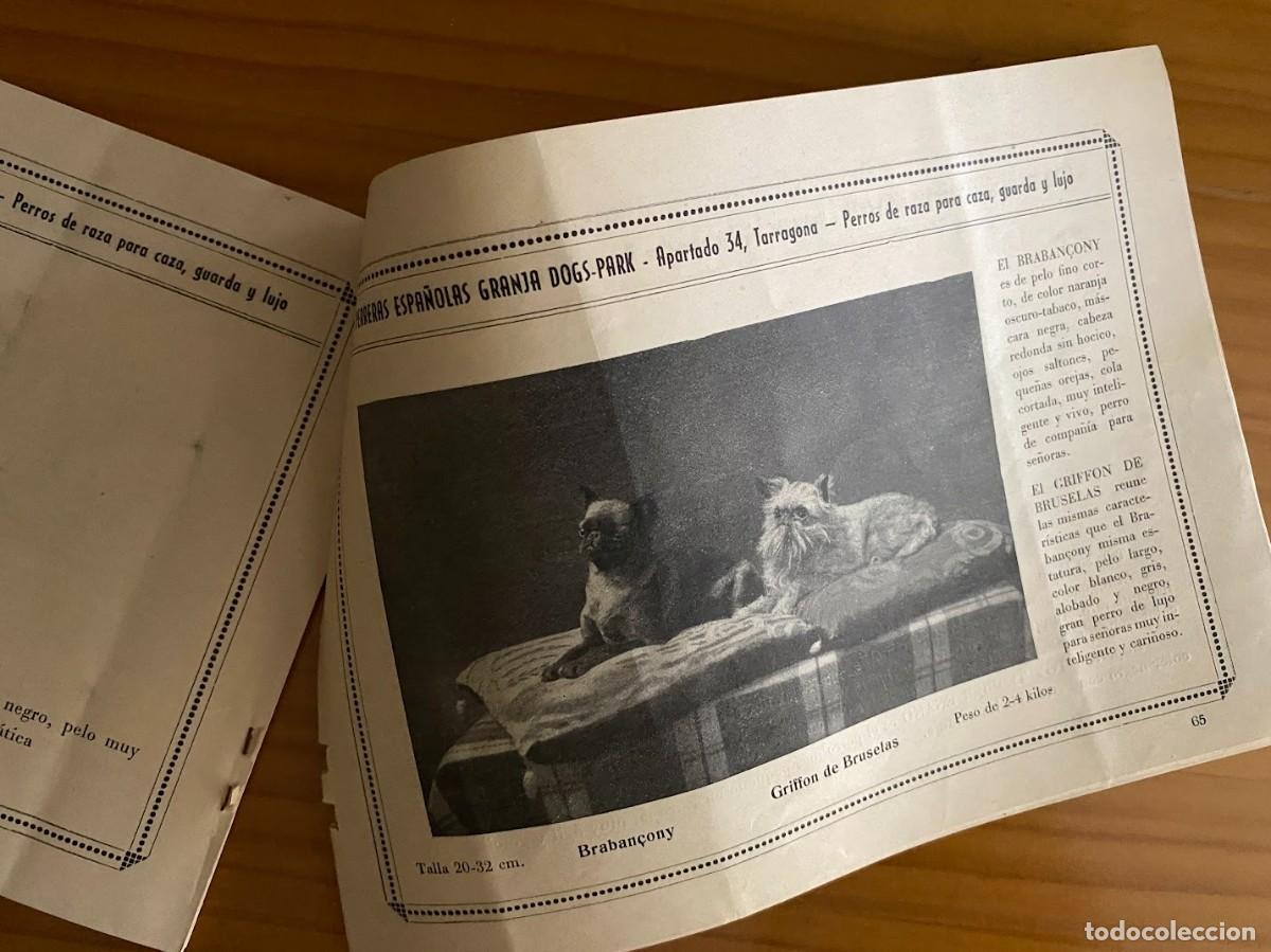 Coleccionismo &aacute;lbum: &Aacute;lbum general ilustrado de perros de raza - Foto 6